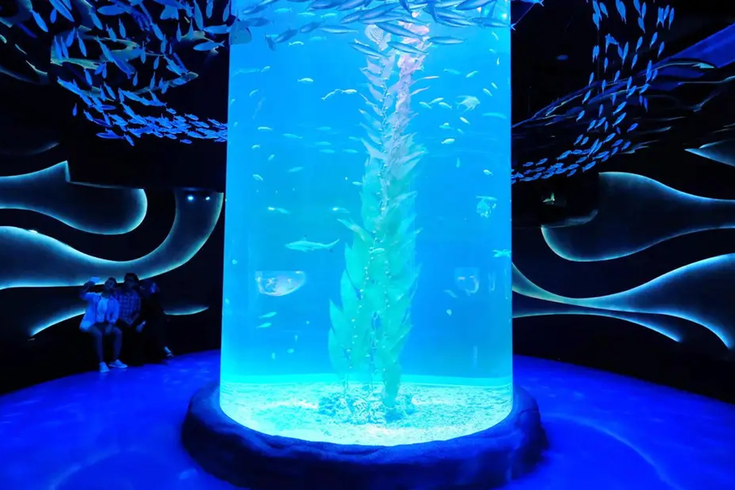 Jakarta Aquarium Admission Ticket